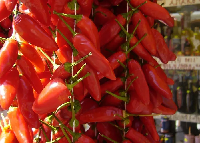 Virgilio 3* 트로페아